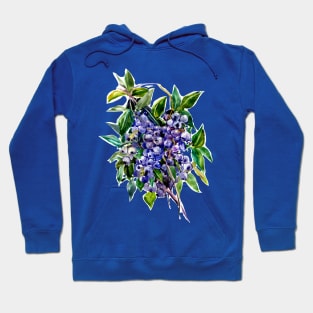 Blueberries Hoodie